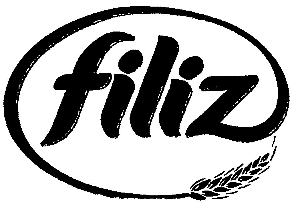 Paraqitja e markës filiz