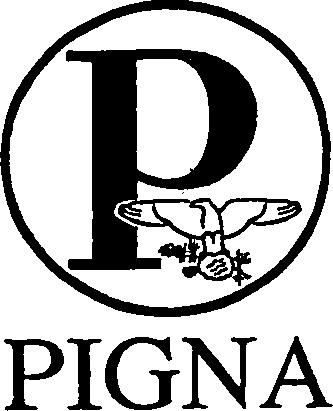 Paraqitja e markës P PIGNA