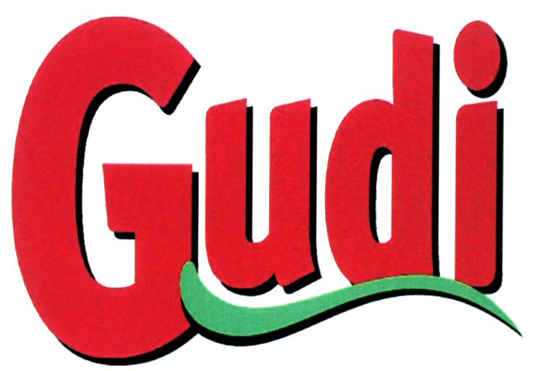 Paraqitja e markës Gudi