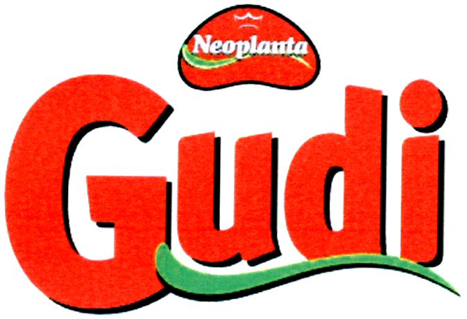 Paraqitja e markës Gudi Neoplanta