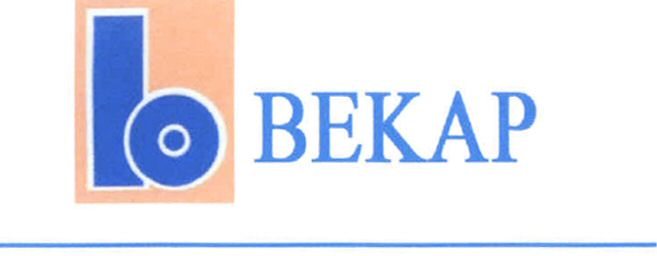 Paraqitja e markës b BEKAP