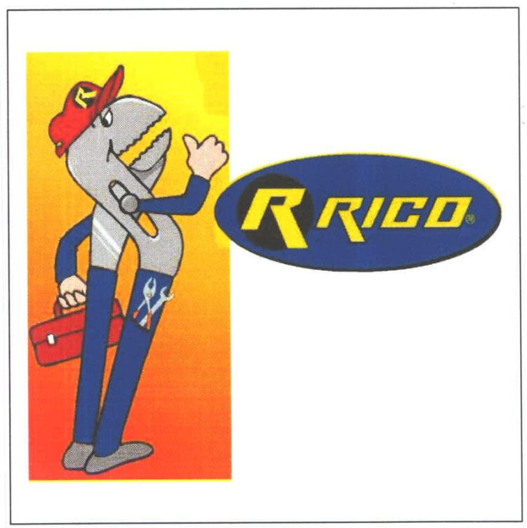 Paraqitja e markës R RICO