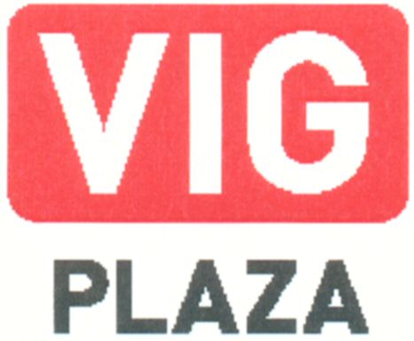 Paraqitja e markës VIG PLAZA