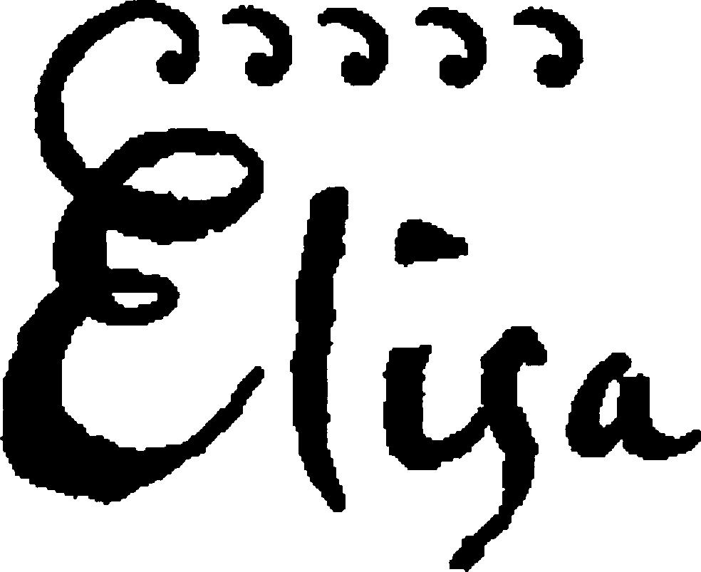 Paraqitja e markës Elisa