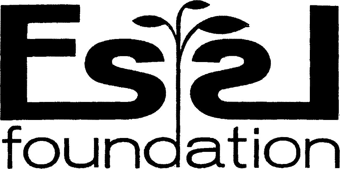 Paraqitja e markës Essl foundation