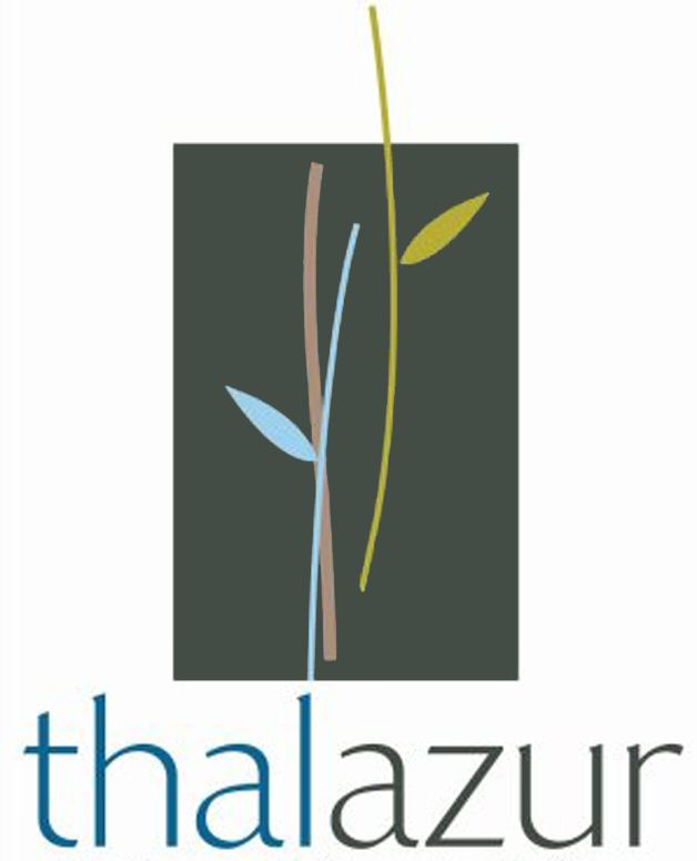 Paraqitja e markës thalazur