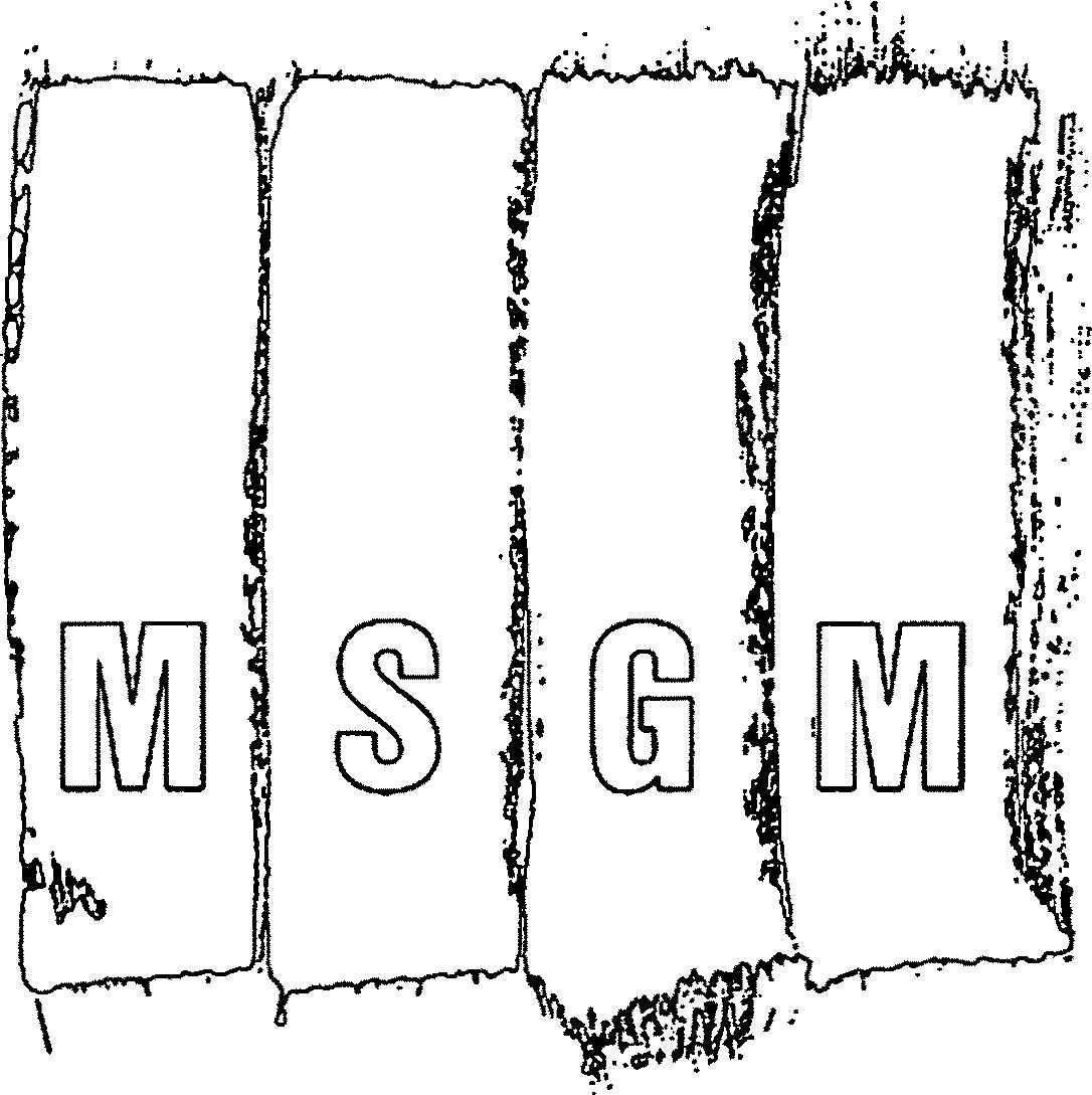 Paraqitja e markës M S G M