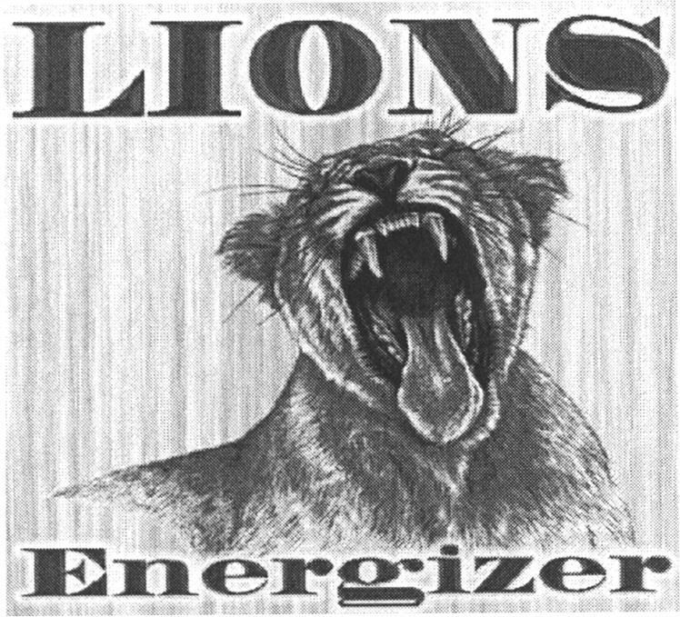 Paraqitja e markës LIONS Energizer