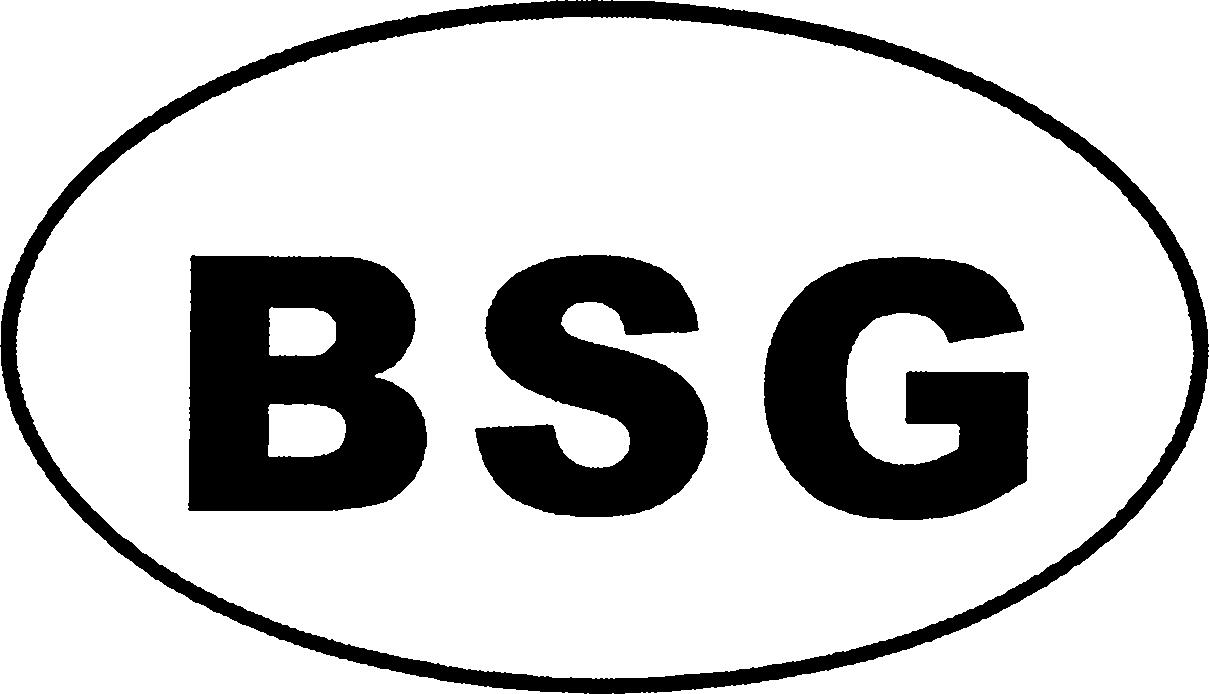 Paraqitja e markës BSG