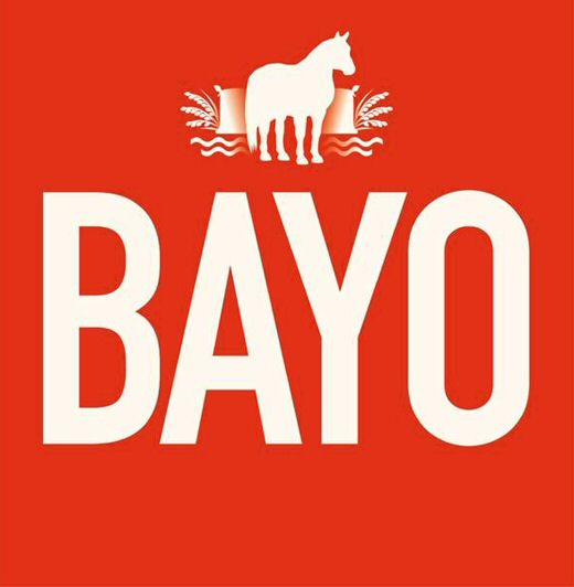 Paraqitja e markës BAYO