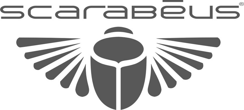 Paraqitja e markës scarabeus