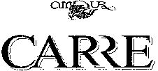 Paraqitja e markës AMOUR CARRE