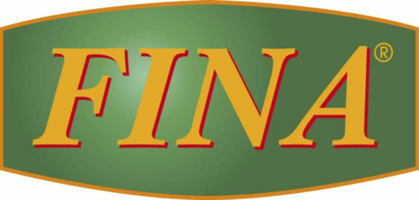 Paraqitja e markës FINA