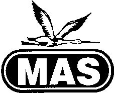 Paraqitja e markës MAS