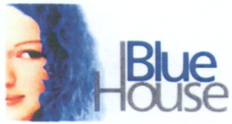 Paraqitja e markës Blue House