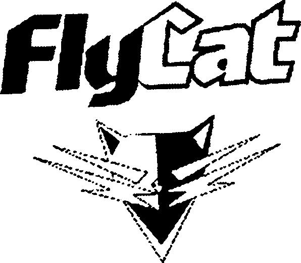 Paraqitja e markës FlyCat