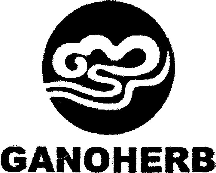 Paraqitja e markës GANOHERB