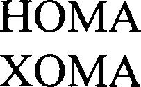 Paraqitja e markës HOMA