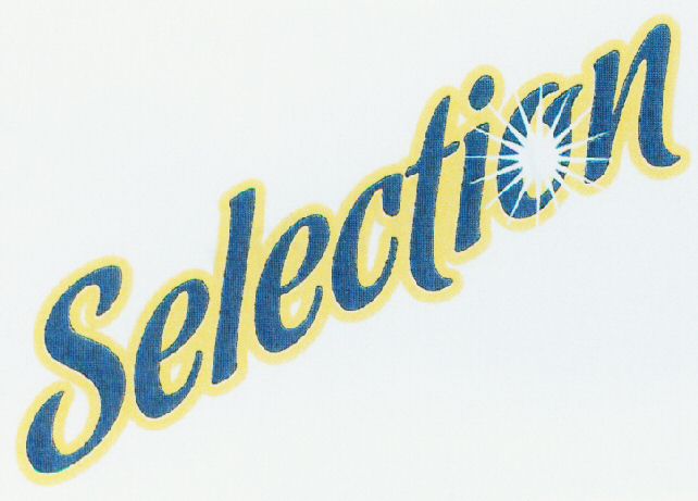 Paraqitja e markës Selection