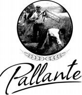 Paraqitja e markës Pallante