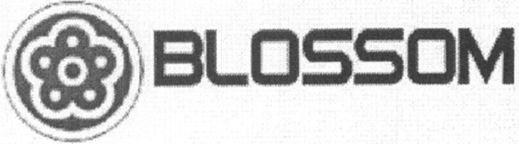 Paraqitja e markës BLOSSOM