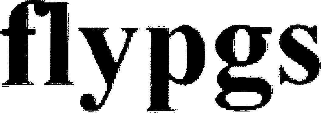 Paraqitja e markës flypgs