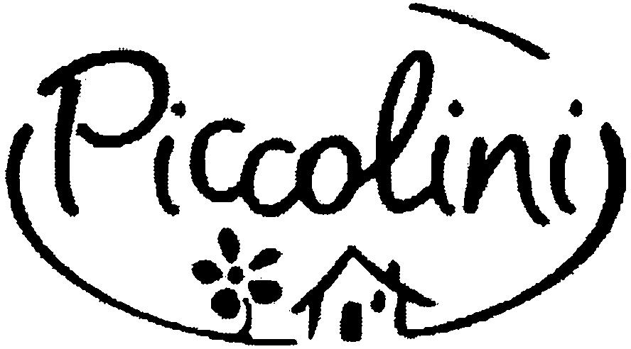 Paraqitja e markës Piccolini