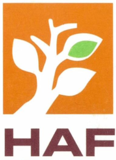Paraqitja e markës HAF