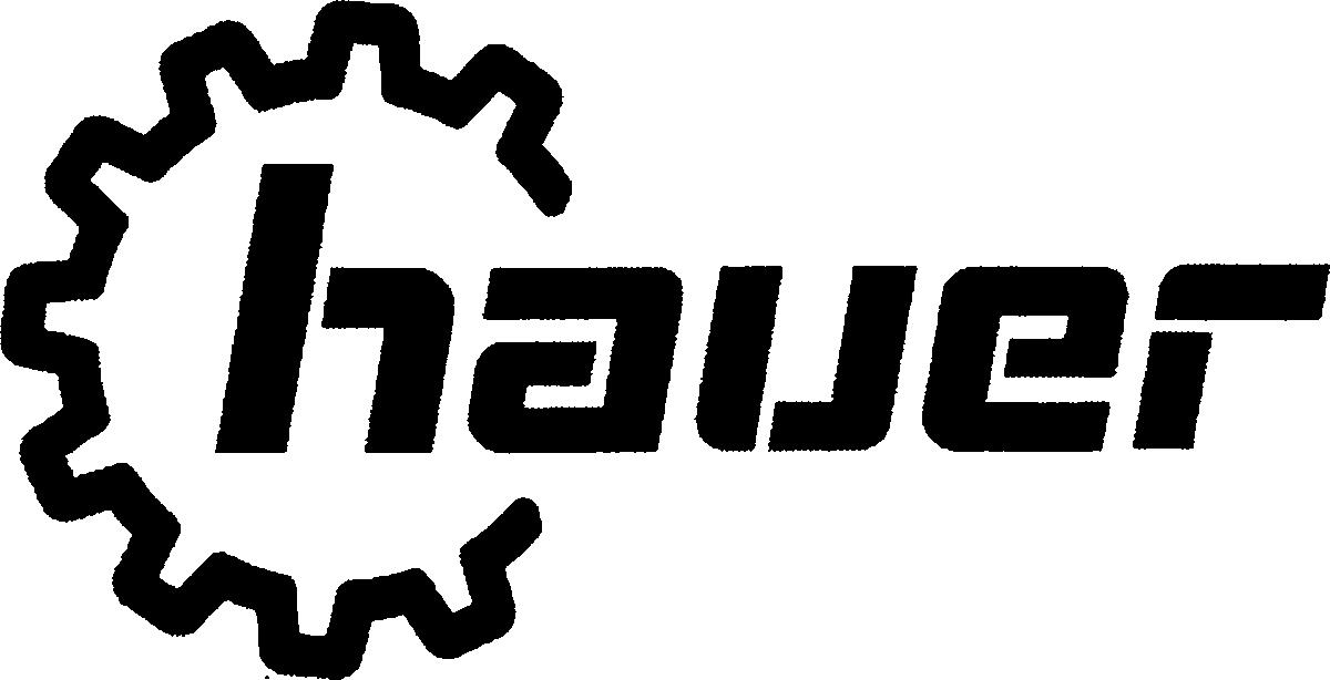 Paraqitja e markës hauer