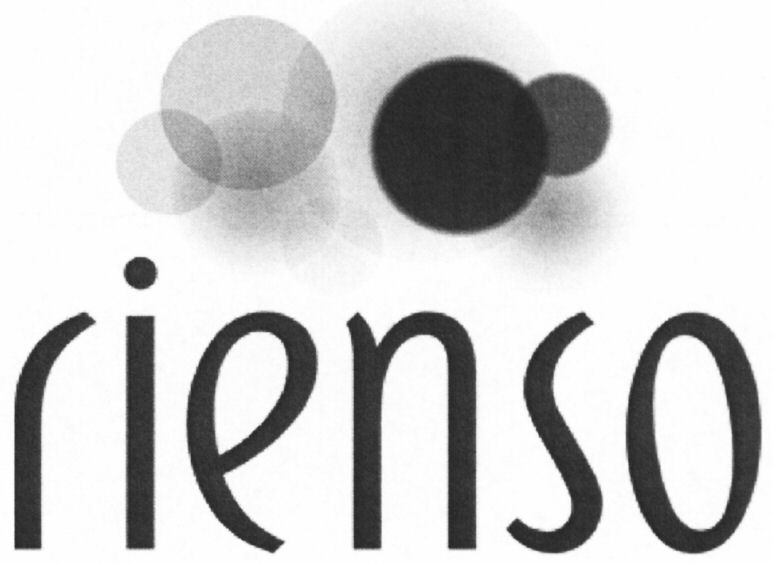 Paraqitja e markës rienso