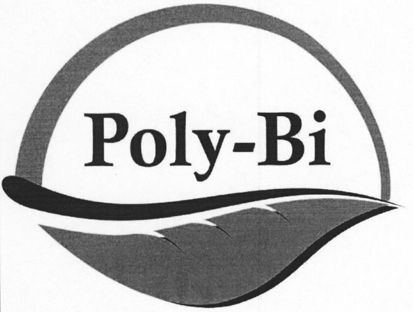 Paraqitja e markës Poly-Bi