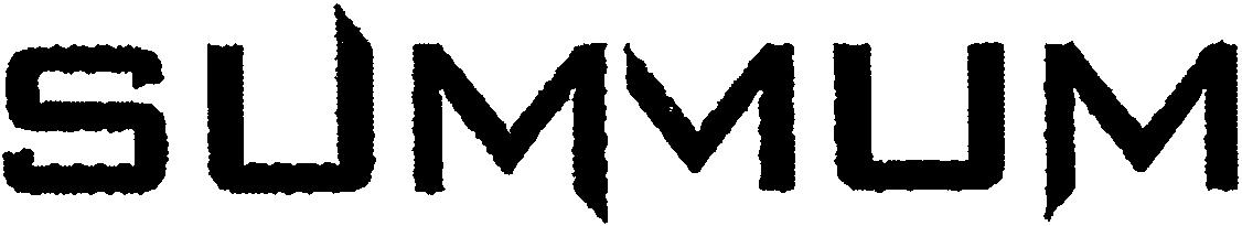 Paraqitja e markës SUMMUM