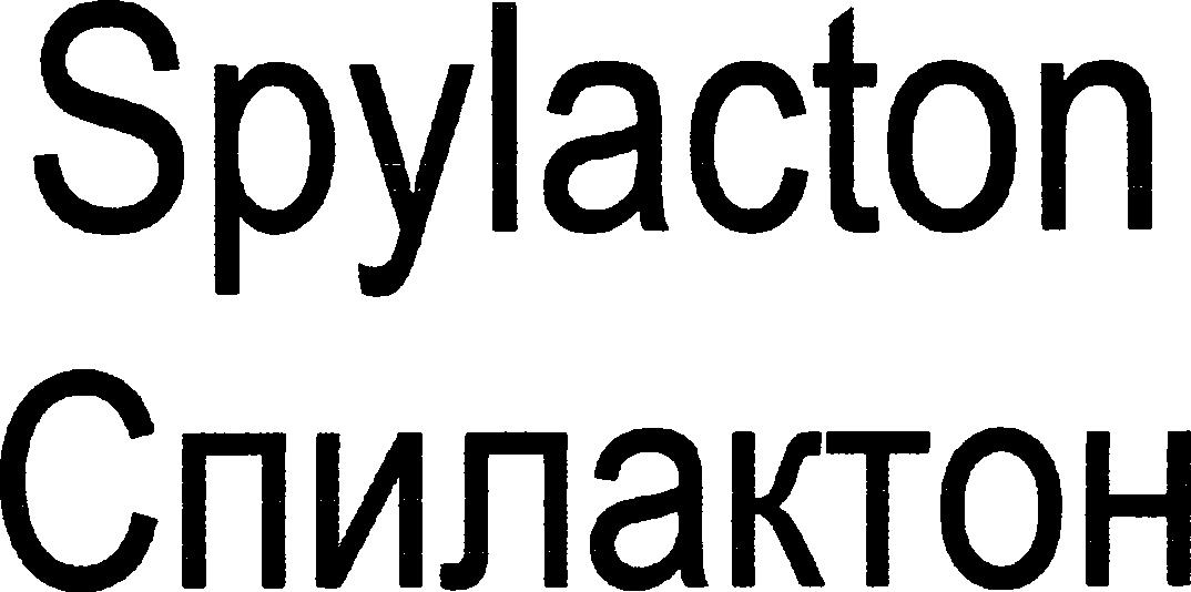 Paraqitja e markës Spylacton