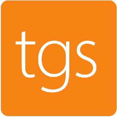 Paraqitja e markës tgs