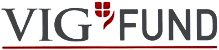 Paraqitja e markës VIG FUND