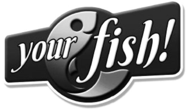 Paraqitja e markës your fish!