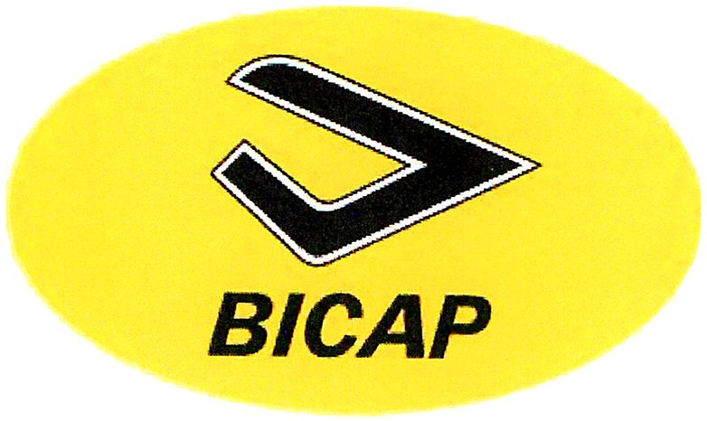 Paraqitja e markës BICAP
