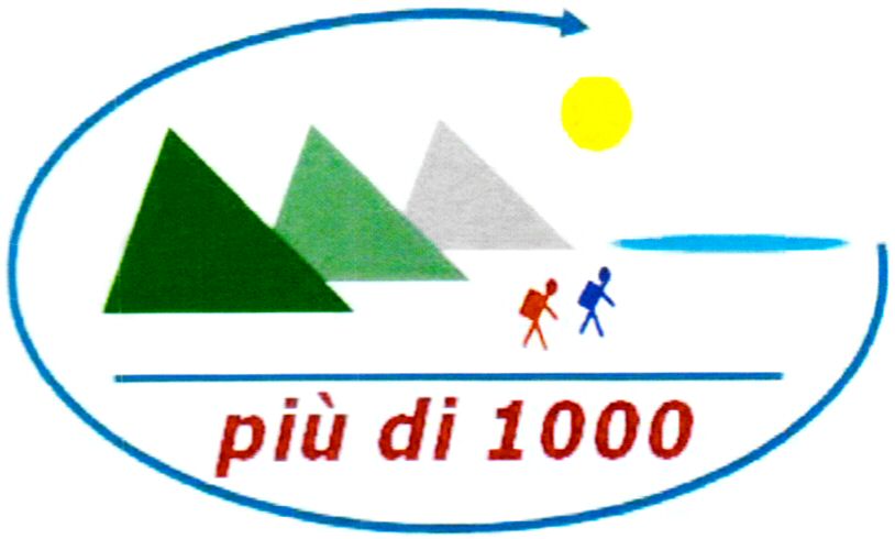 Paraqitja e markës più di 1000