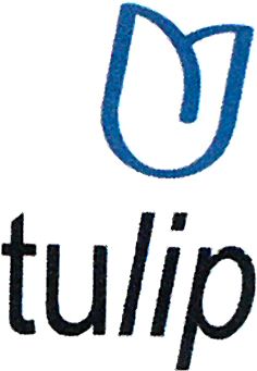 Paraqitja e markës tulip
