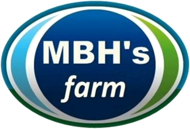 Paraqitja e markës MBH's farm