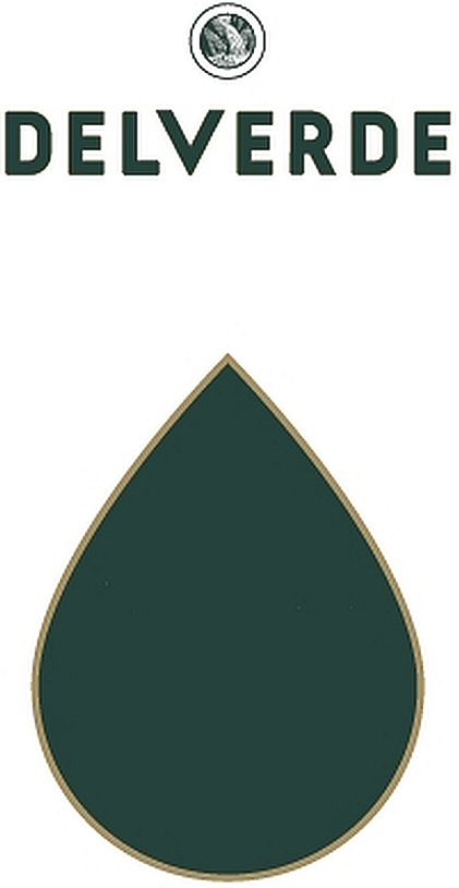 Paraqitja e markës DELVERDE