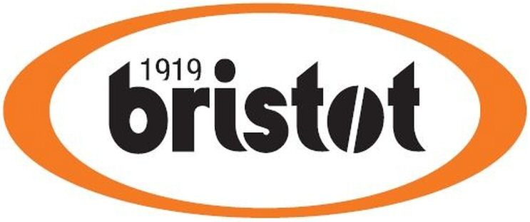 Paraqitja e markës bristot 1919