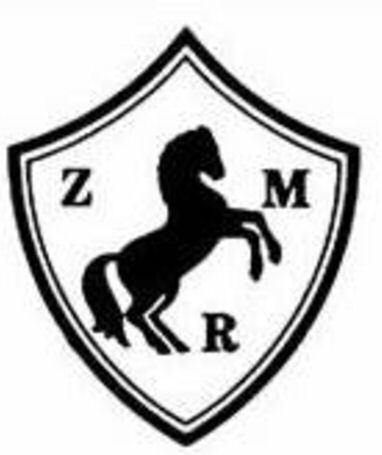 Paraqitja e markës ZMR
