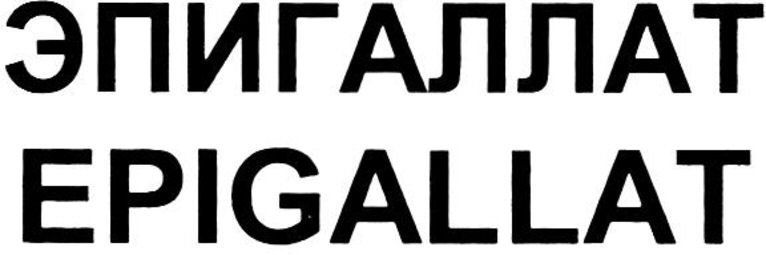 Paraqitja e markës EPIGALLAT