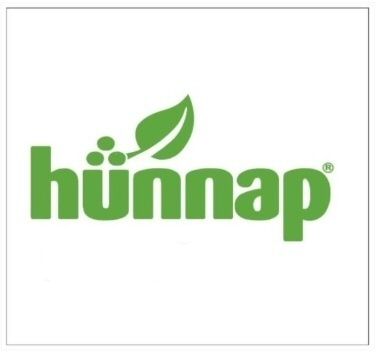 Paraqitja e markës hünnap