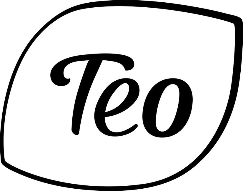 Paraqitja e markës Teo