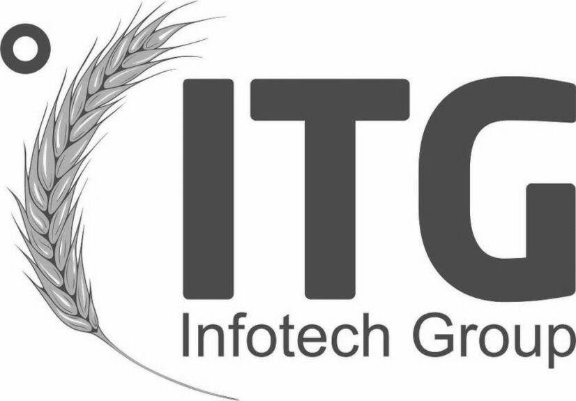 Paraqitja e markës ITG Infotech Group