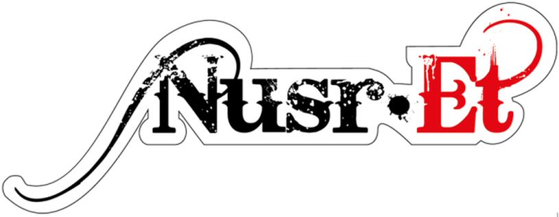Paraqitja e markës Nusr-Et