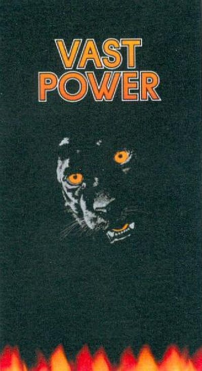 Paraqitja e markës VAST POWER