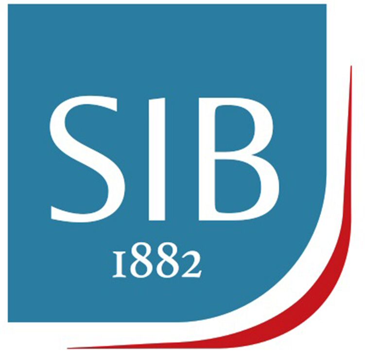 Paraqitja e markës SIB 1882